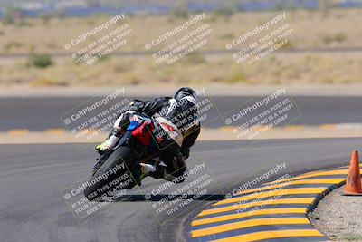 media/Oct-08-2022-SoCal Trackdays (Sat) [[1fc3beec89]]/Turn 11 Backside (1145am)/